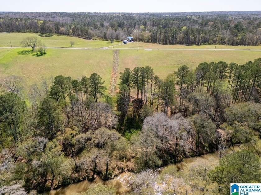 Blue Water Bend is a premier gated community in Jasper, AL - photo 29