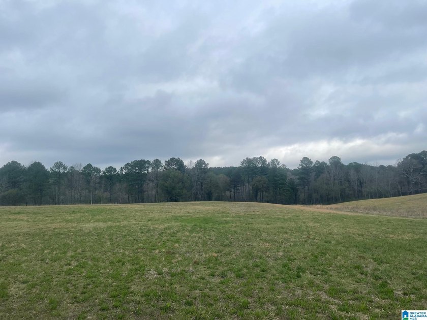 Blue Water Bend is a premier gated community in Jasper, AL - photo 36