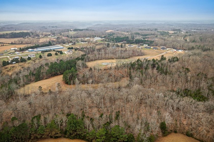 Gorgeous open/wooded 11.9 acres nestled between Smithville and - photo 17