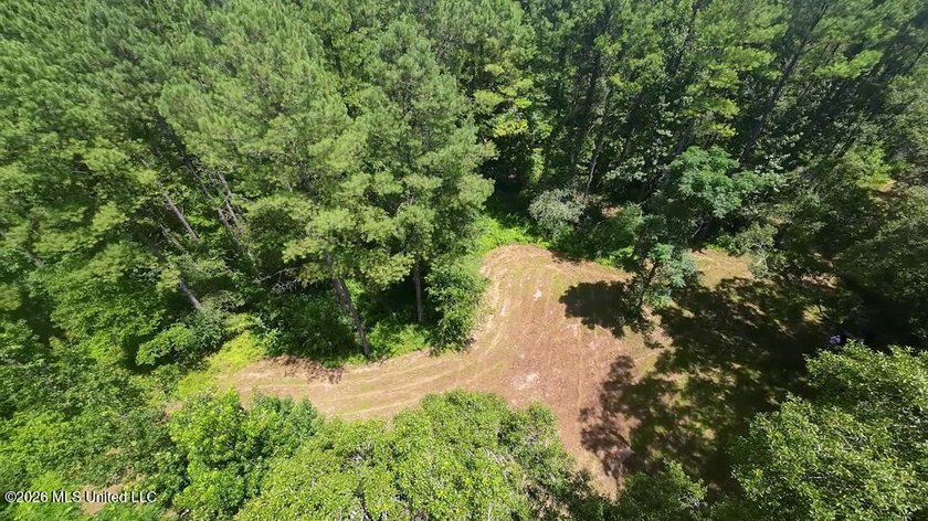 Set across 397 acres in Jefferson Davis County, Mississippi - photo 11
