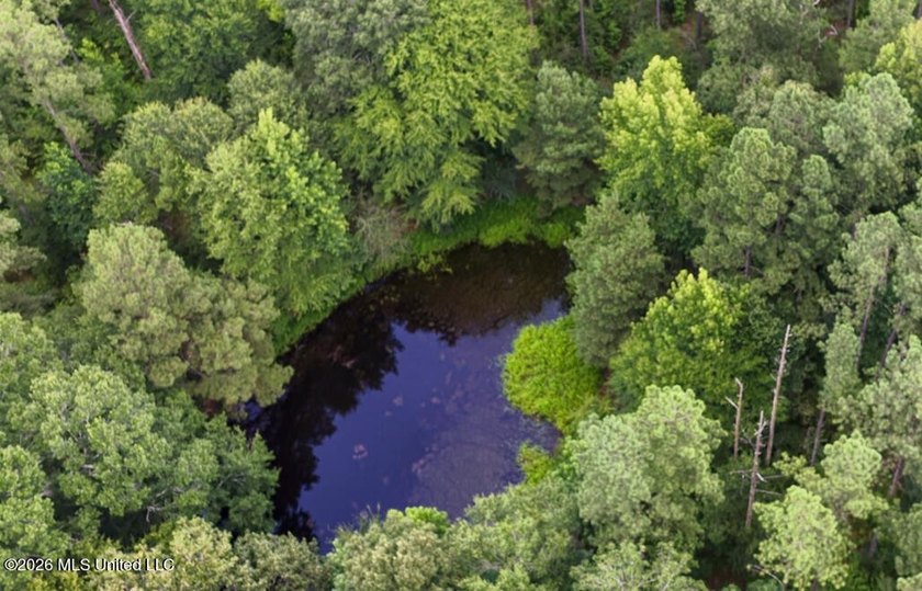 Set across 397 acres in Jefferson Davis County, Mississippi - photo 12