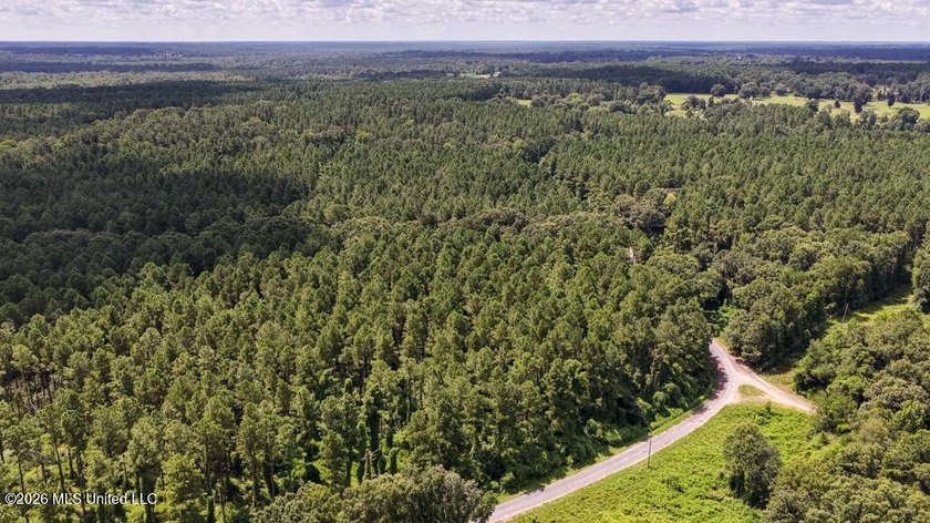 Set across 397 acres in Jefferson Davis County, Mississippi - photo 16