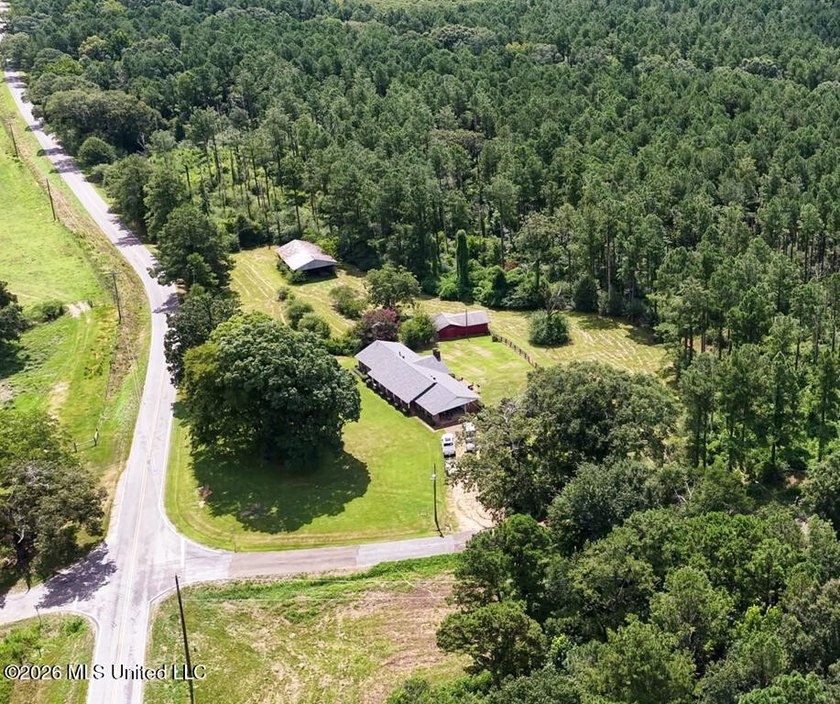 Set across 397 acres in Jefferson Davis County, Mississippi - photo 18