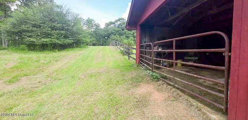 Set across 397 acres in Jefferson Davis County, Mississippi - photo 39