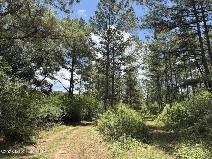 Set across 397 acres in Jefferson Davis County, Mississippi - photo 42