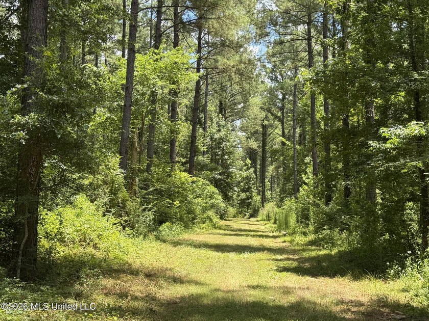 Set across 397 acres in Jefferson Davis County, Mississippi - photo 45