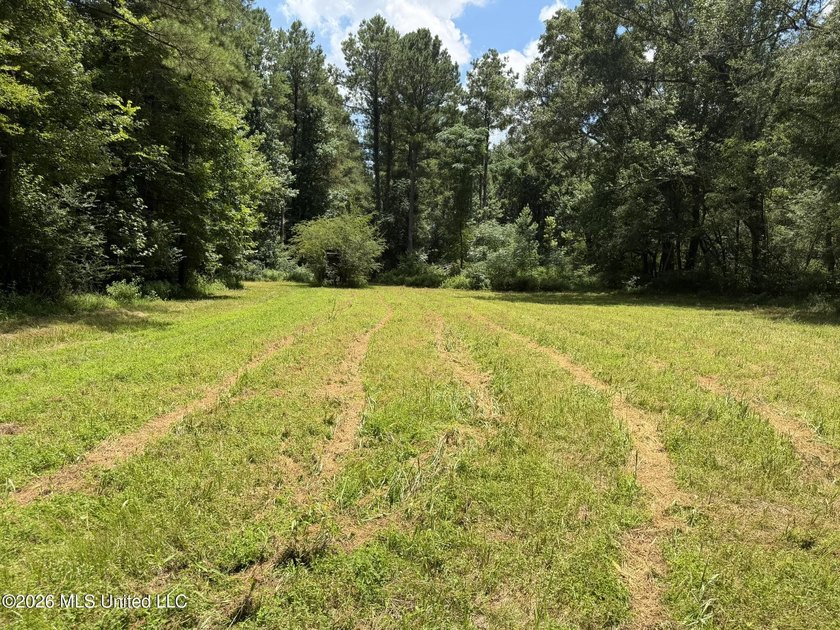 Set across 397 acres in Jefferson Davis County, Mississippi - photo 48