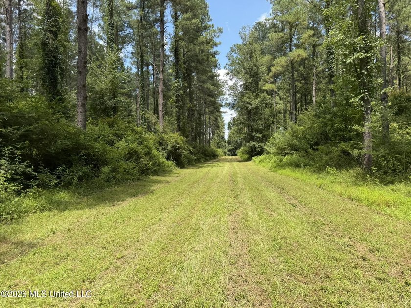Set across 397 acres in Jefferson Davis County, Mississippi - photo 49