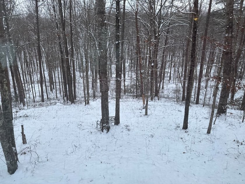 Enjoy peaceful country living on approximately 5.02 fully fenced - photo 33