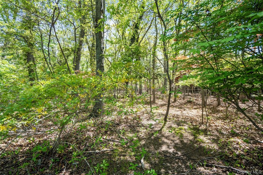 Nestled on a quiet cul-de-sac in one of East Setauket's most - photo 42