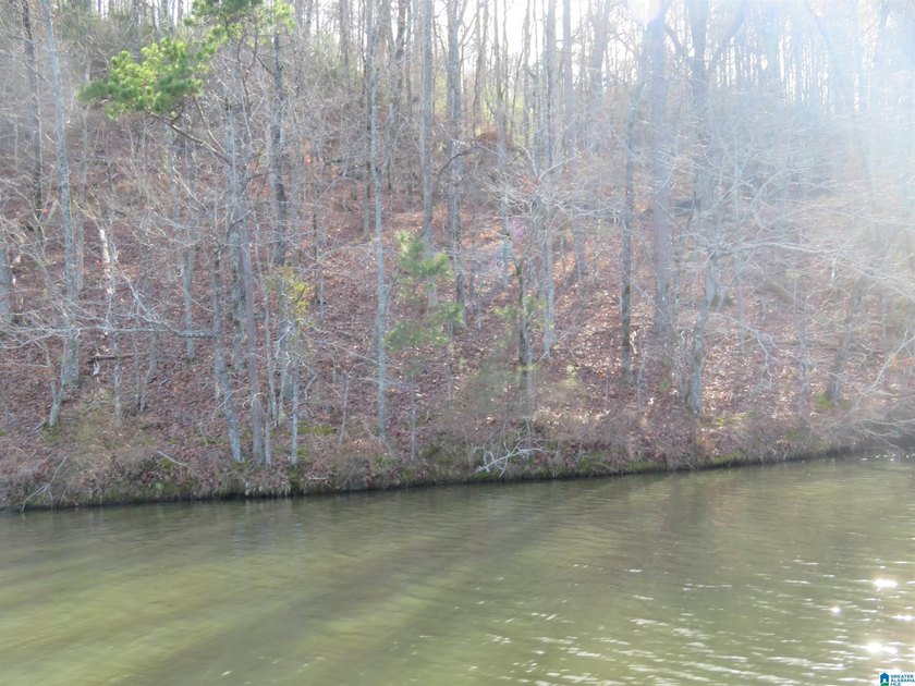 Beautiful Lake Front Lot in prestigious Eagle Point at Lake - photo 2