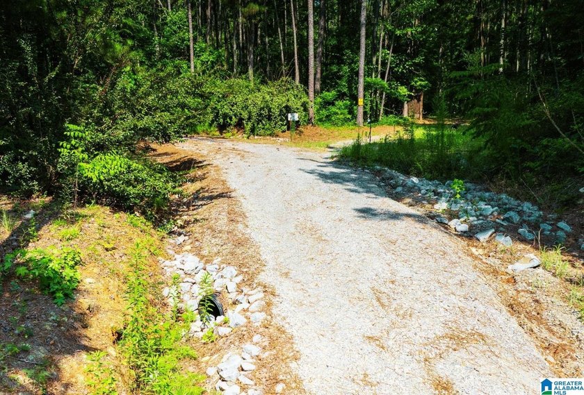 Discover 36.1 acres of wooded land offering privacy, lake views - photo 4