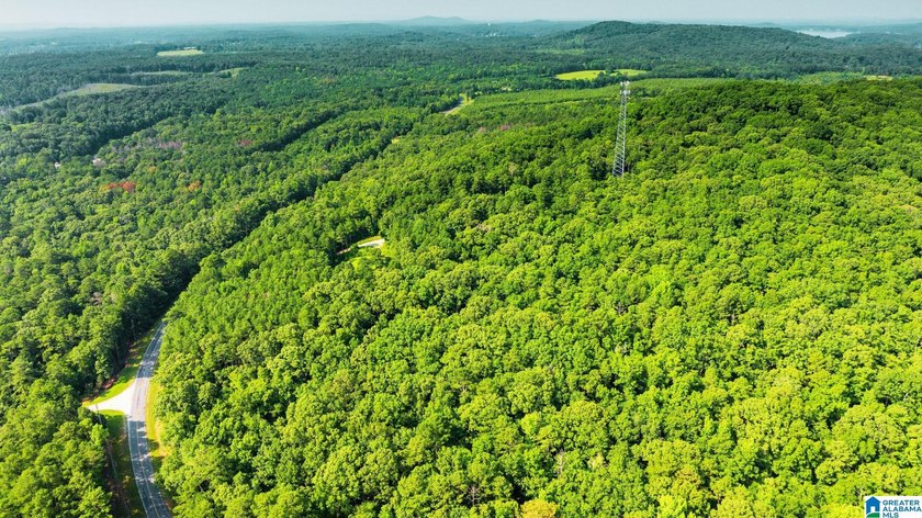 Discover 36.1 acres of wooded land offering privacy, lake views - photo 5