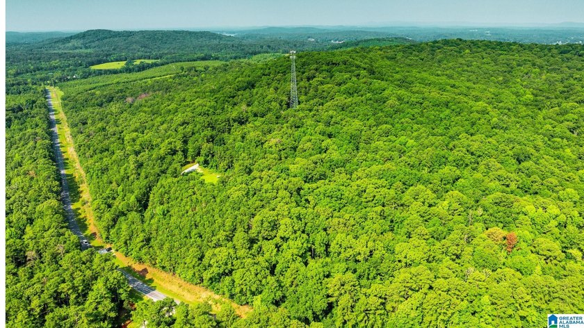 Discover 36.1 acres of wooded land offering privacy, lake views - photo 7