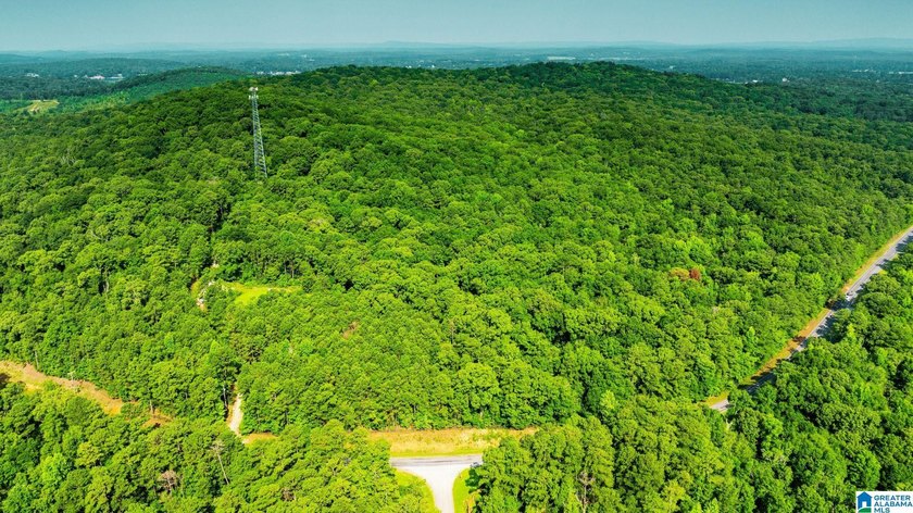 Discover 36.1 acres of wooded land offering privacy, lake views - photo 8