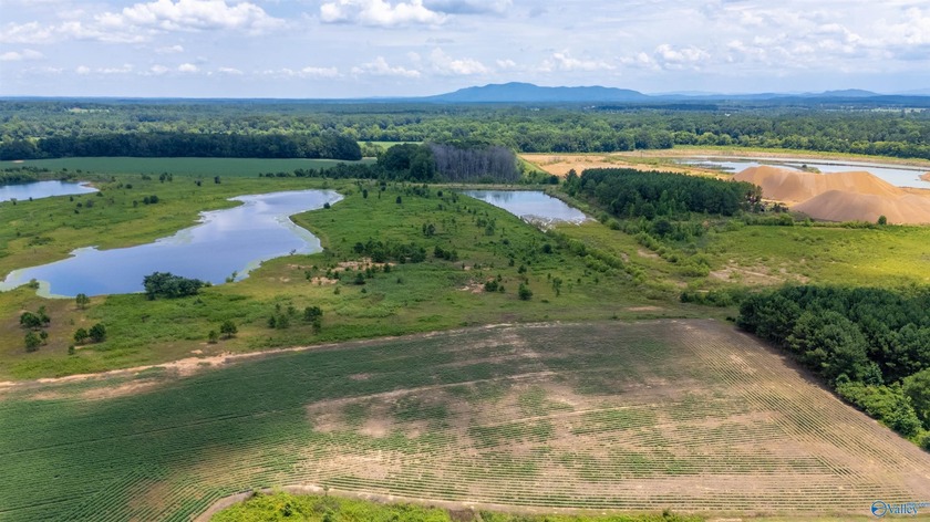 New Listing! First time offered! Beautiful farm featuring 2 - photo 11