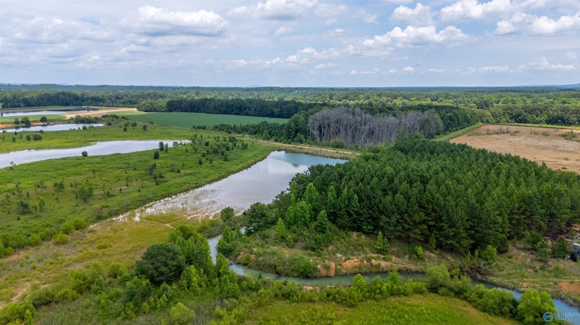 New Listing! First time offered! Beautiful farm featuring 2 - photo 13