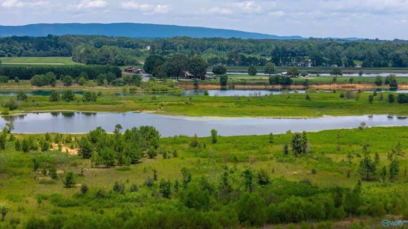 New Listing! First time offered! Beautiful farm featuring 2 - photo 14