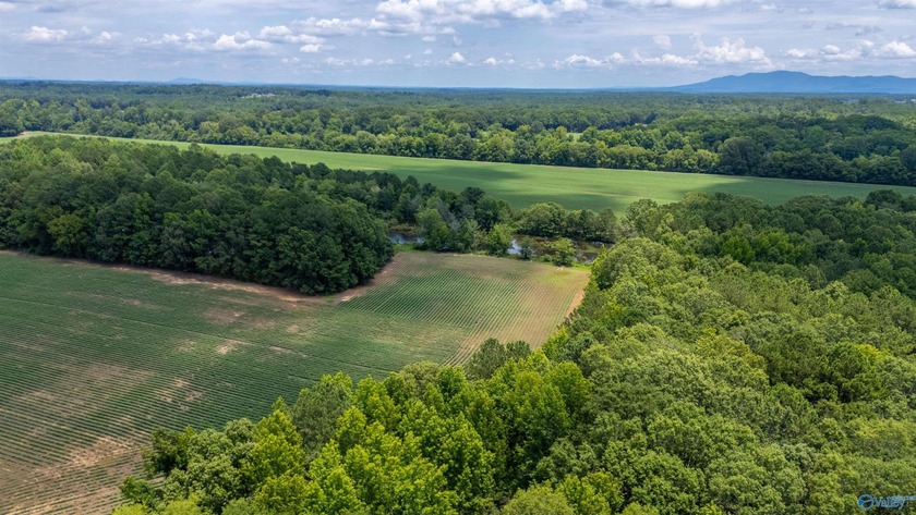 New Listing! First time offered! Beautiful farm featuring 2 - photo 15