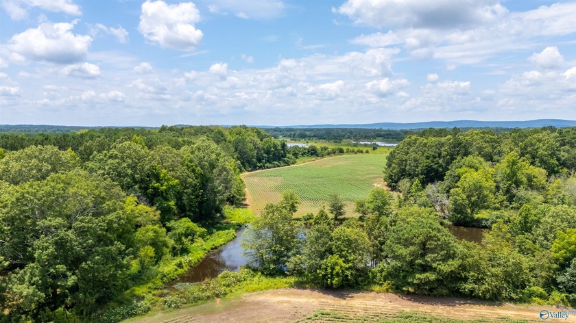 New Listing! First time offered! Beautiful farm featuring 2 - photo 16