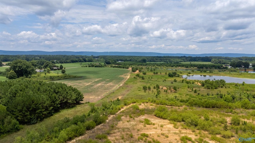 New Listing! First time offered! Beautiful farm featuring 2 - photo 17