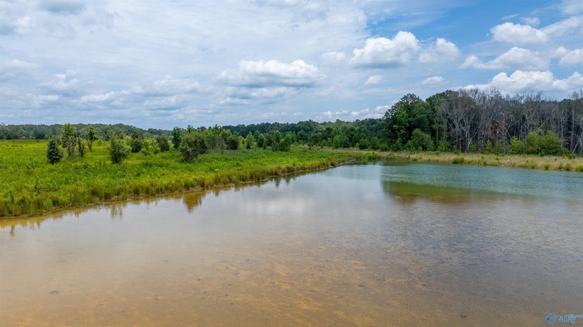 New Listing! First time offered! Beautiful farm featuring 2 - photo 19