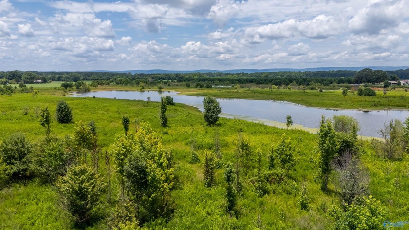 New Listing! First time offered! Beautiful farm featuring 2 - photo 20