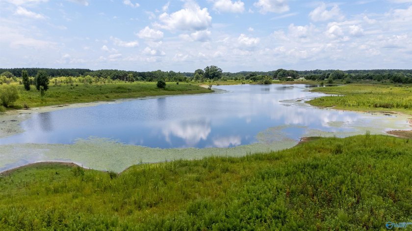 New Listing! First time offered! Beautiful farm featuring 2 - photo 21