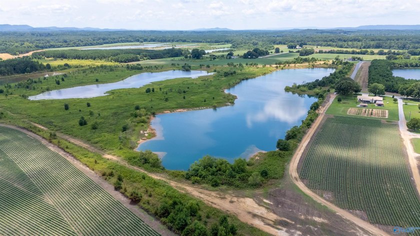 New Listing! First time offered! Beautiful farm featuring 2 - photo 22