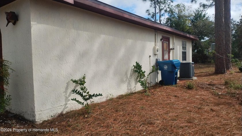 2/2/1 with a screened Lanai home in a nice part of Spring Hill - photo 3