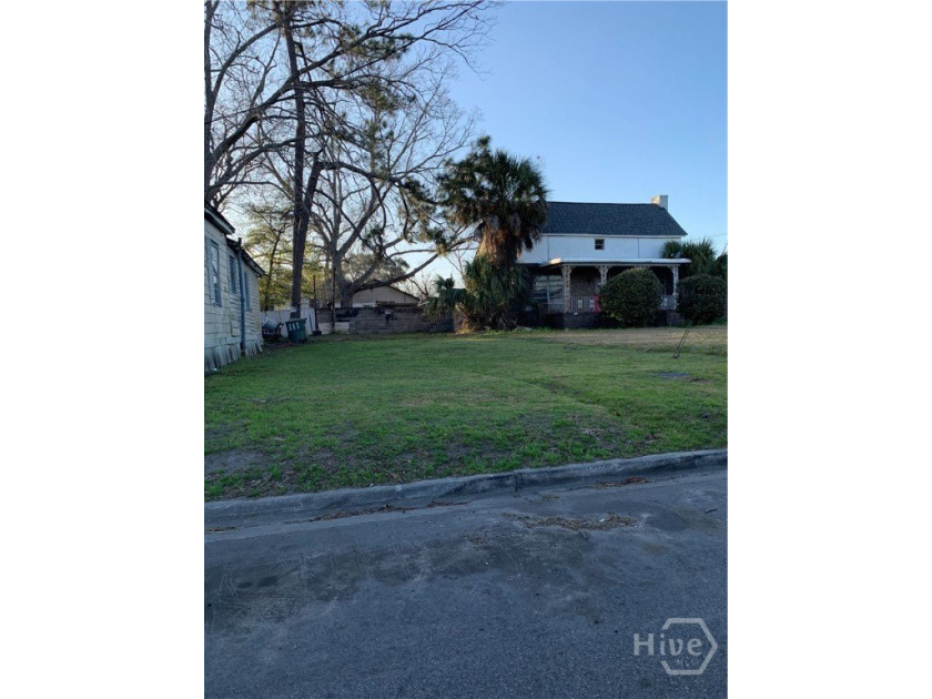 Buildable lot just minutes from the Enmark Arena, Downtown - photo 3