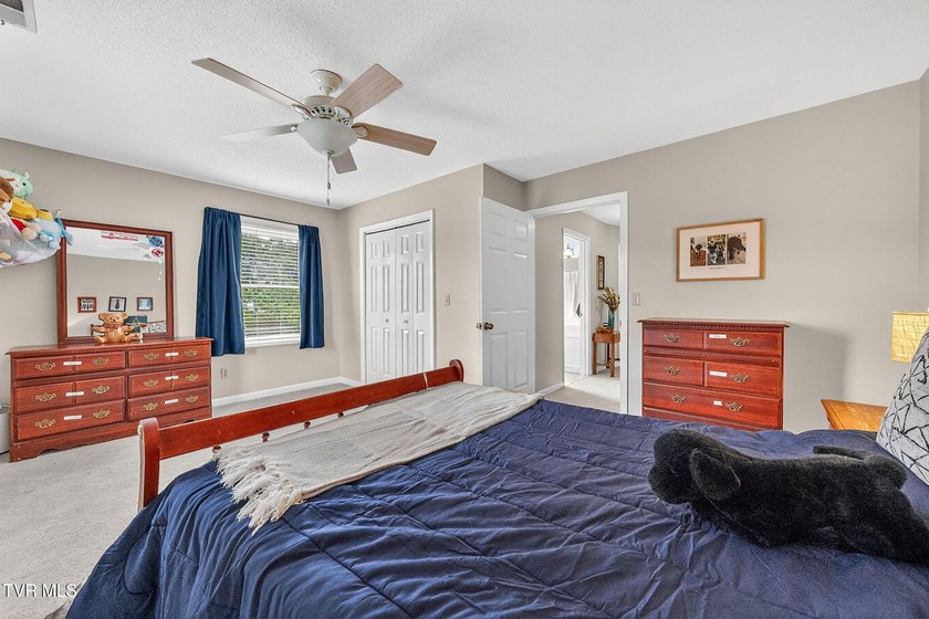 This elegant traditional brick home offers 4 bedrooms and 3.5 - photo 31