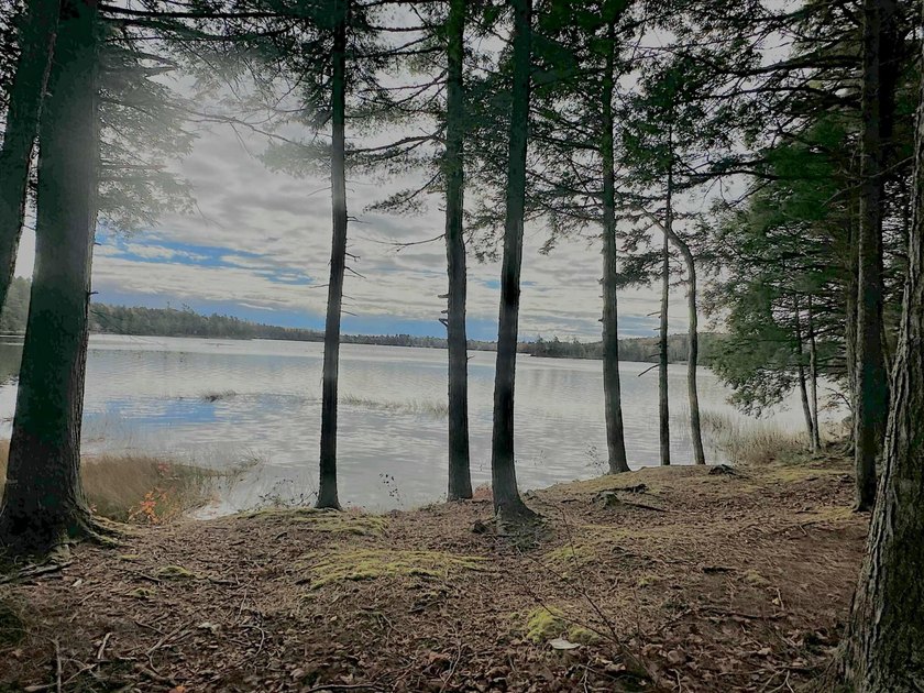 This 3 Bedroom, 2 Bath home on Bog Lake in Northfield sits on a - photo 12