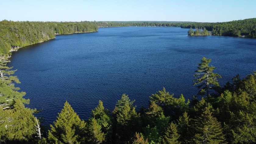 This 3 Bedroom, 2 Bath home on Bog Lake in Northfield sits on a - photo 35