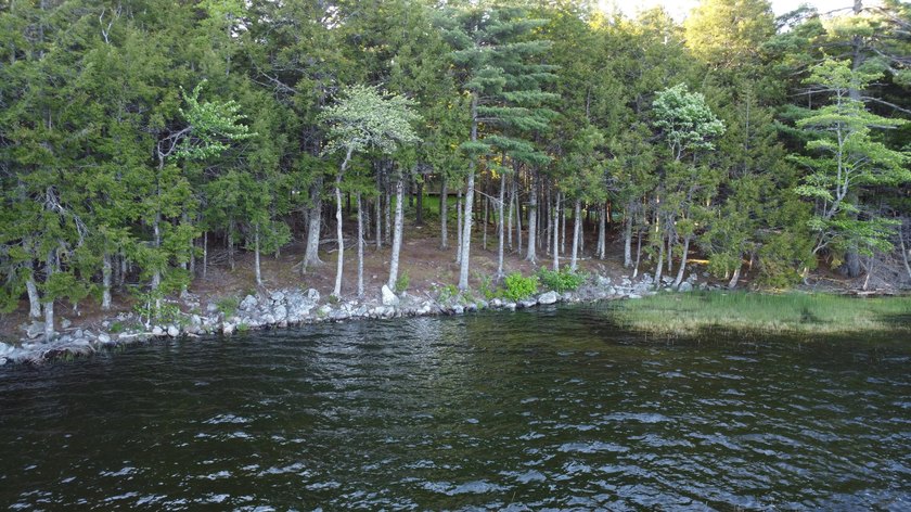 This 3 Bedroom, 2 Bath home on Bog Lake in Northfield sits on a - photo 39