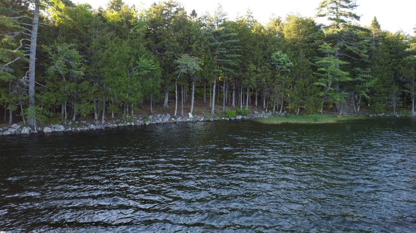 This 3 Bedroom, 2 Bath home on Bog Lake in Northfield sits on a - photo 41