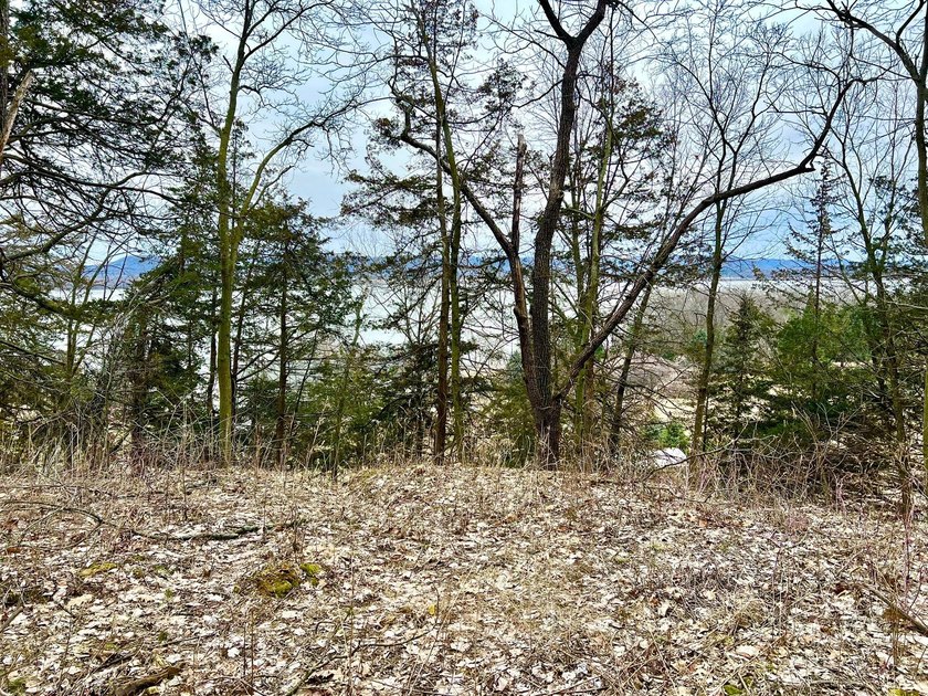 Private and wooded 7.1 acres on the outskirts of the charming - photo 11
