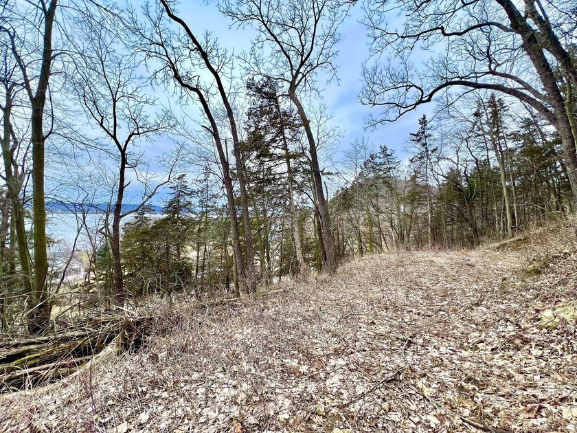 Private and wooded 7.1 acres on the outskirts of the charming - photo 12