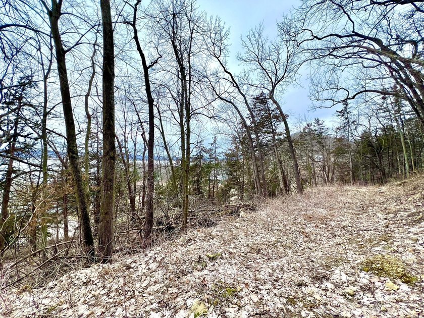 Private and wooded 7.1 acres on the outskirts of the charming - photo 14