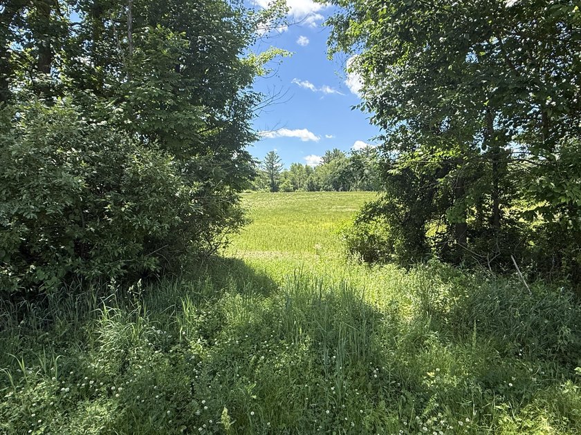 This premium 85-acre recreational property offers the ultimate - photo 15