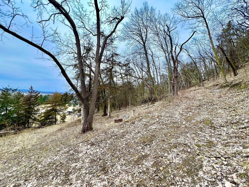 Private and wooded 7.1 acres on the outskirts of the charming - photo 17