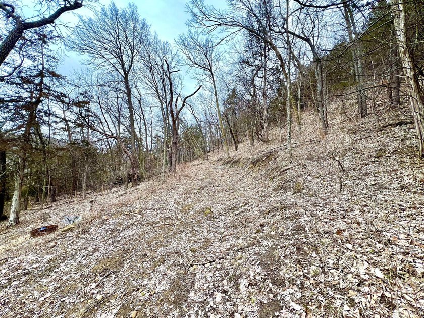 Private and wooded 7.1 acres on the outskirts of the charming - photo 18
