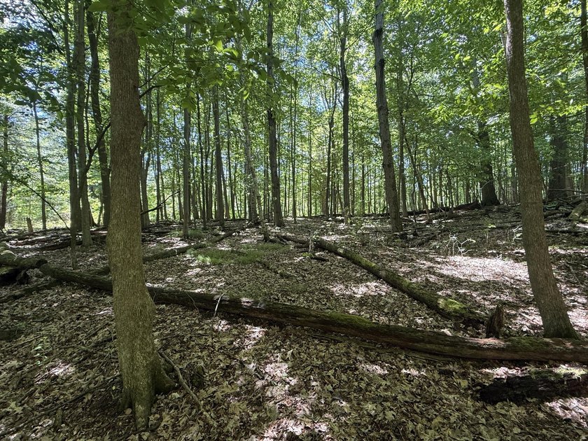 This premium 85-acre recreational property offers the ultimate - photo 19