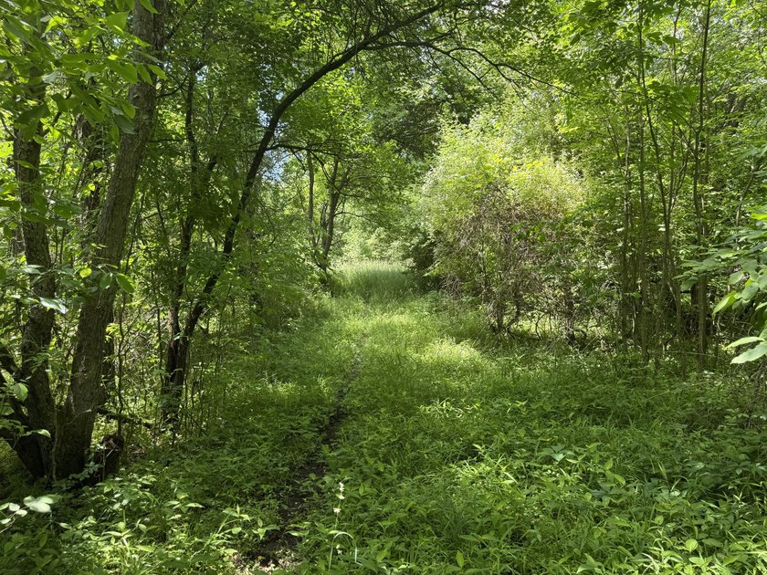 This premium 85-acre recreational property offers the ultimate - photo 21