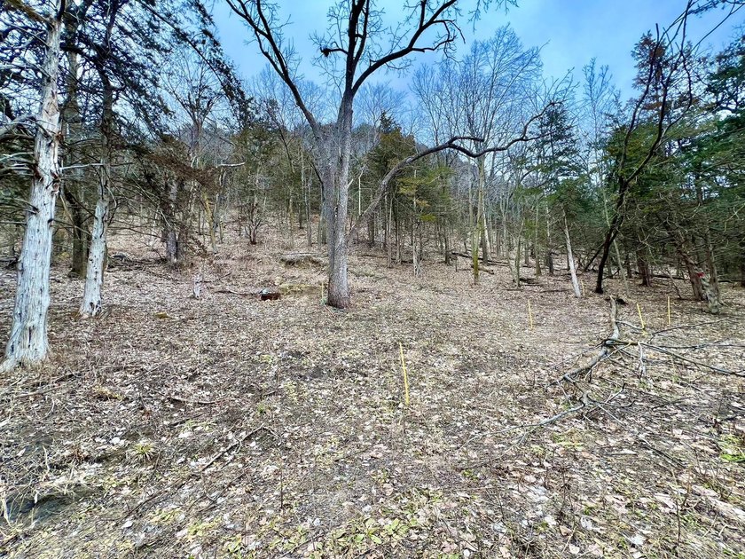 Private and wooded 7.1 acres on the outskirts of the charming - photo 21