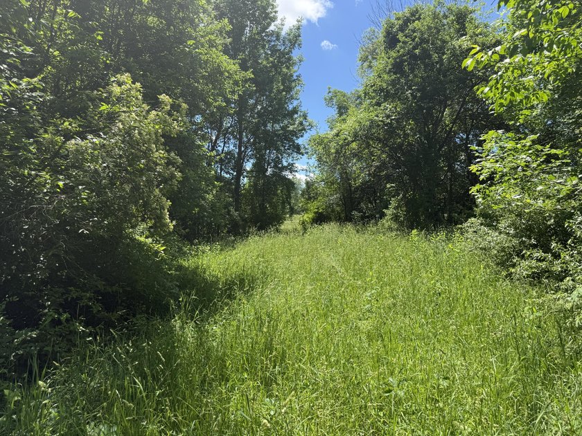 This premium 85-acre recreational property offers the ultimate - photo 22