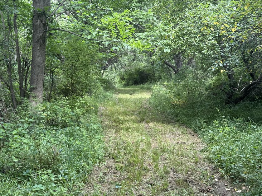 This premium 85-acre recreational property offers the ultimate - photo 34