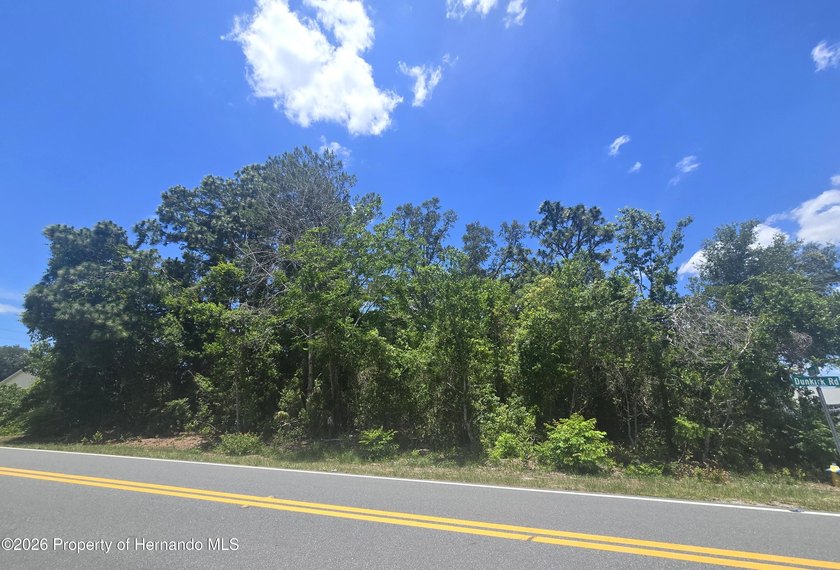 Build your DREAM HOME on this beautifully situated .32-ACRE - photo 4
