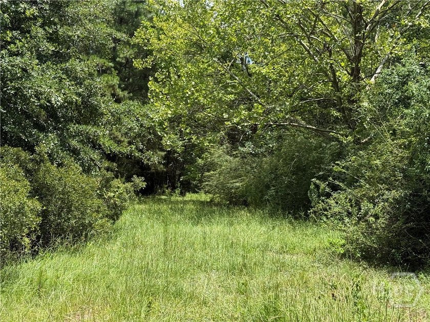 This property is 9.1 acres currently zoned RA. This is a - photo 3