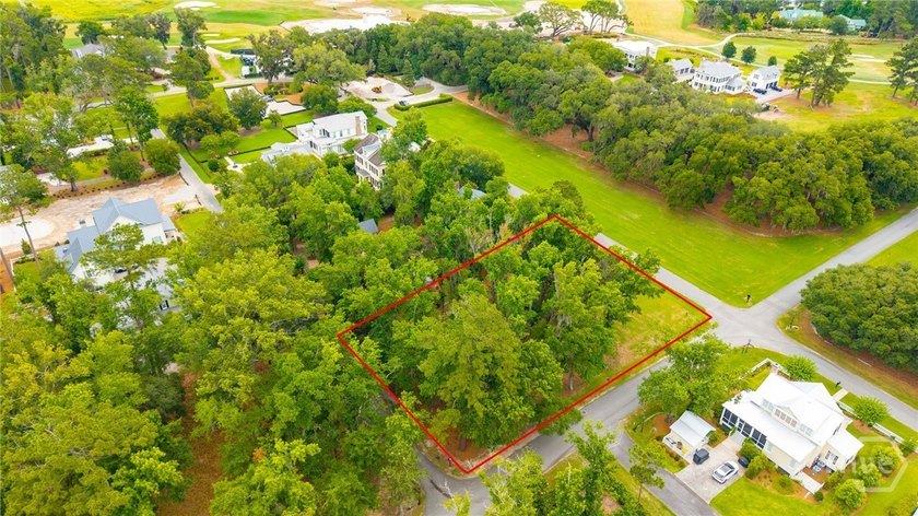 Set along the iconic Cherry Hill Oak Allee, 92 Lost Cypress Way - photo 5